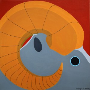 brucel_Bélier copyright  